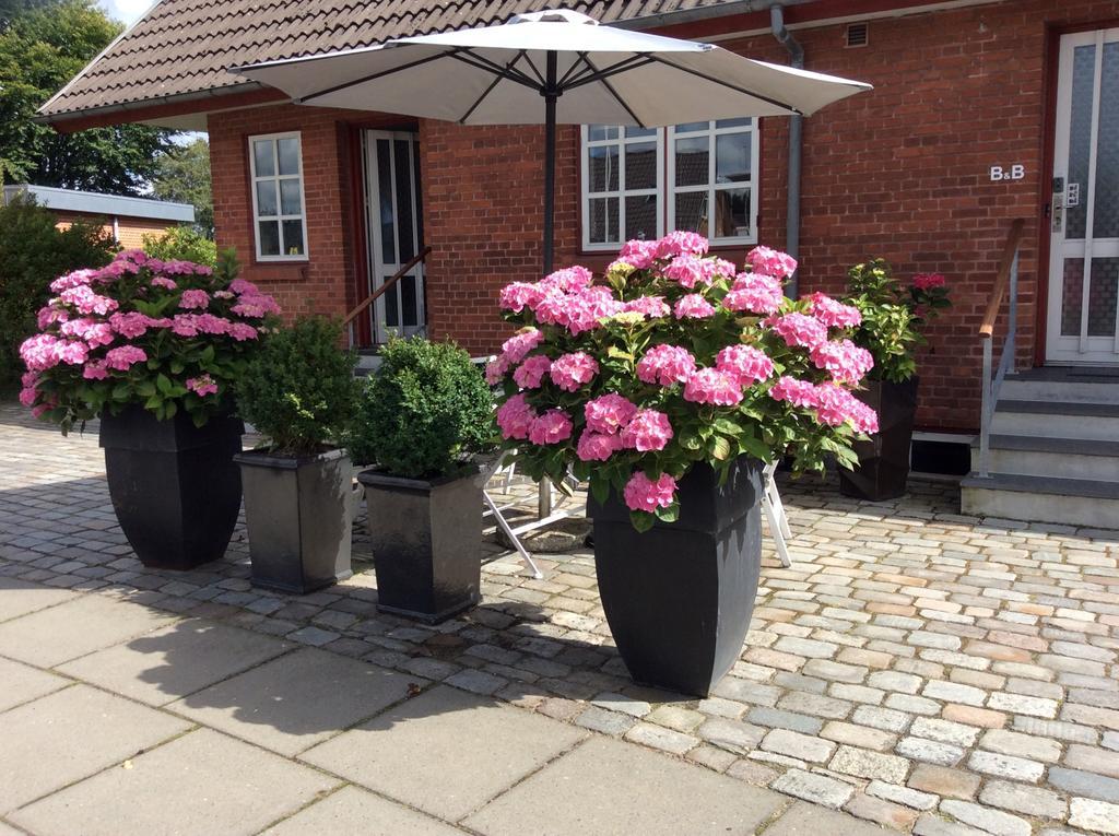 Hannas B&B - 51 M2 Grindsted Buitenkant foto